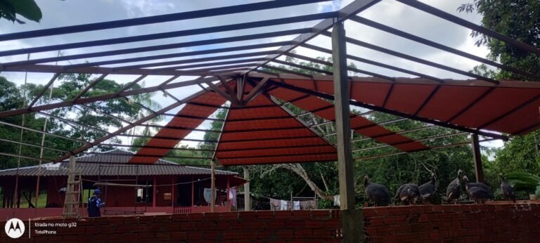 WhatsApp Image 2025-08-06 at 17.55